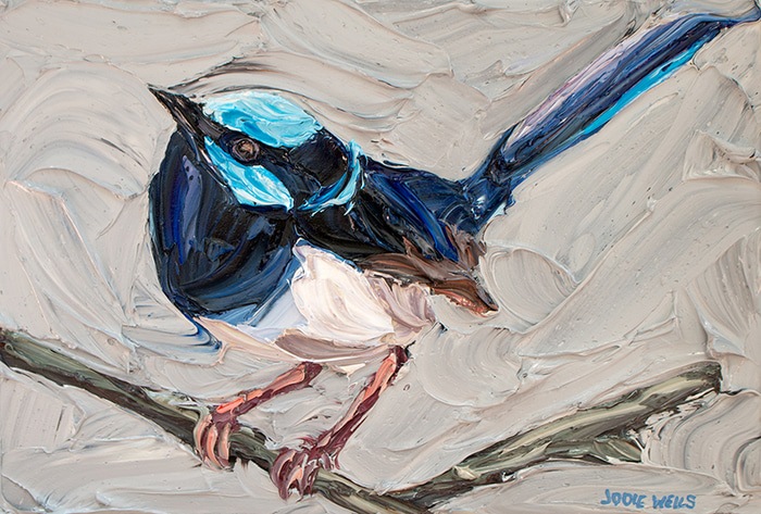 Exquisite Fairy Wren by Jodie Wells | Lethbridge Gallery